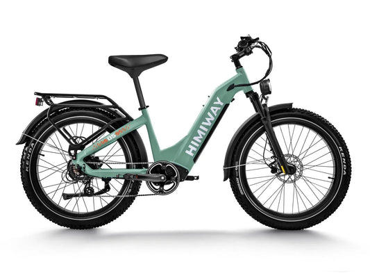 D5 ST(Zebra ST) / All-terrain Electric Fat Bike