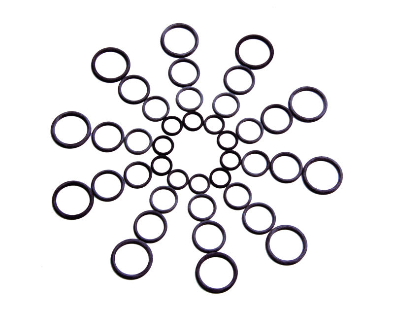 FR SPORT Aeromotive O-Ring Assortment
