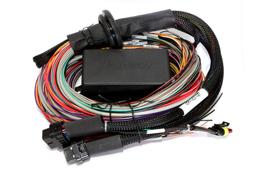 797 Performance, LLC Haltech Elite 2500/2500 T Premium Universal Wire-In Harness - 2.5m (8ft)