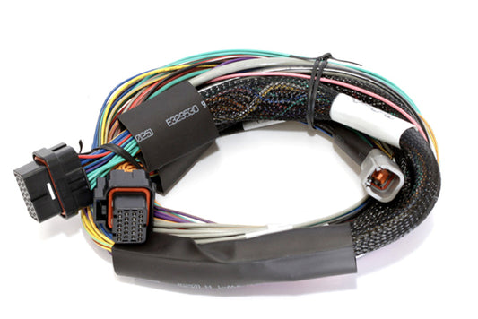 797 Performance, LLC Haltech Elite 2500 Basic Universal Wire-In Harness w/o Relays or Fuses -...
