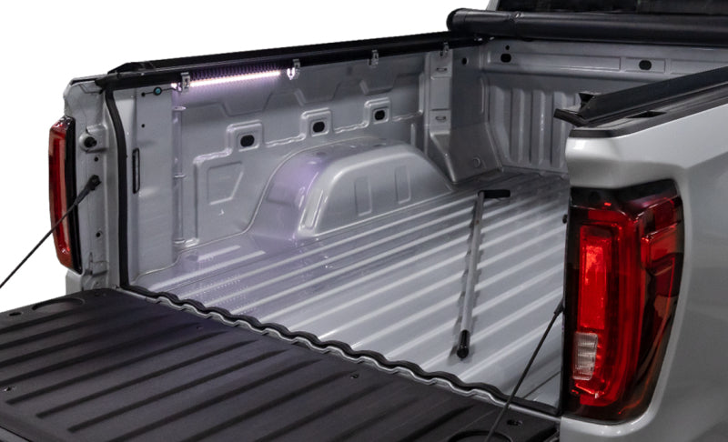 Access Accessories SMART Pack (EZ-Retriever II Truck Bed LED Light and Trailseal) 80077