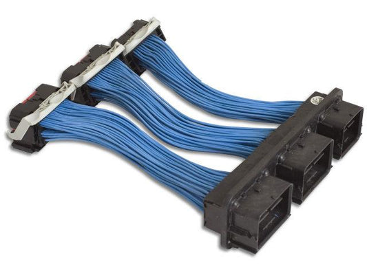 FR SPORT AEM Electronics ECU Extension Harness Ford Lincoln