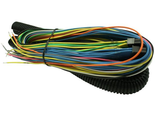 FR SPORT AEM Electronics 24" Fuel/Igntion Controller Flying Lead Harness