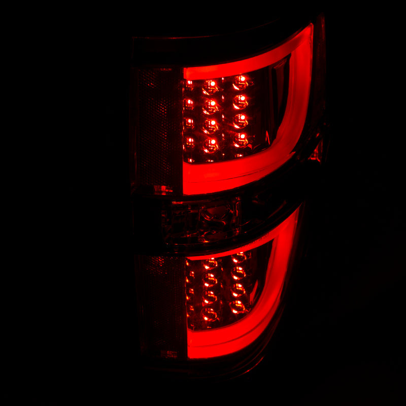Anzo 2009-2013 Ford F-150 LED Taillights Chrome