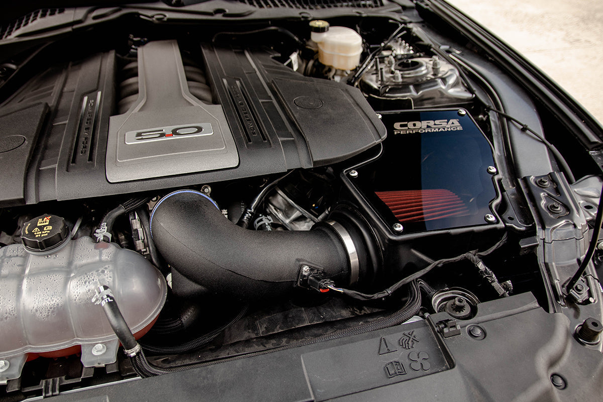 Corsa Black, Forged Carbon Fiber / Plastic Closed Box Air Intake | 2018-2023 Ford Mustang GT 5.0L V8 (44007, 419850)
