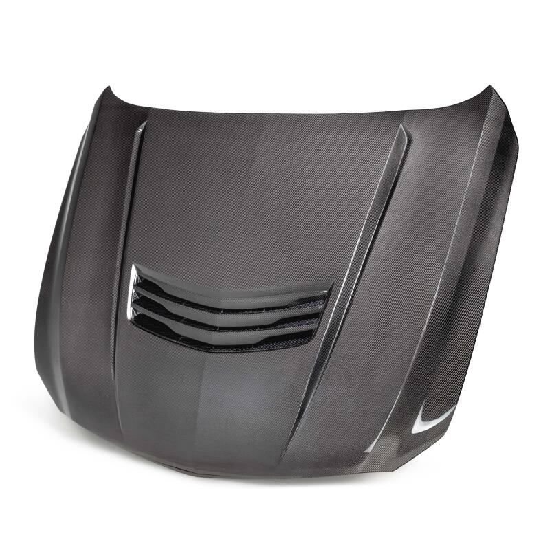 Anderson Composites 20-23 Cadillac CT5-V Blackwing Carbon Fiber Hood - Type SV AC-HD22CACT5BW-SV-DS