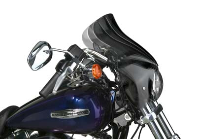 Windshield - N21601