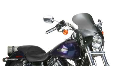 Windshield - N21601