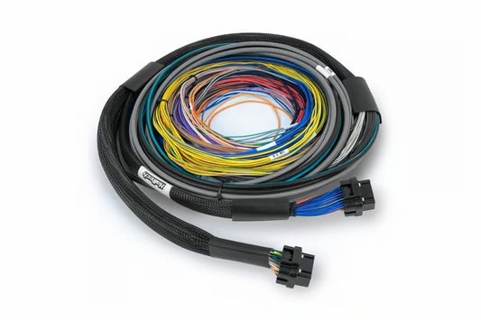 797 Performance, LLC Haltech NEXUS S2/S3 Universal Wire-In Harness Kit - 2.5M (8ft)