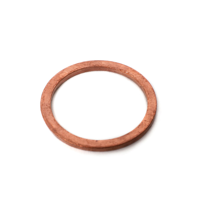 BLOX Racing Fuel Inlet Fitting Crush Washers - 2 Pack BXFU-04450