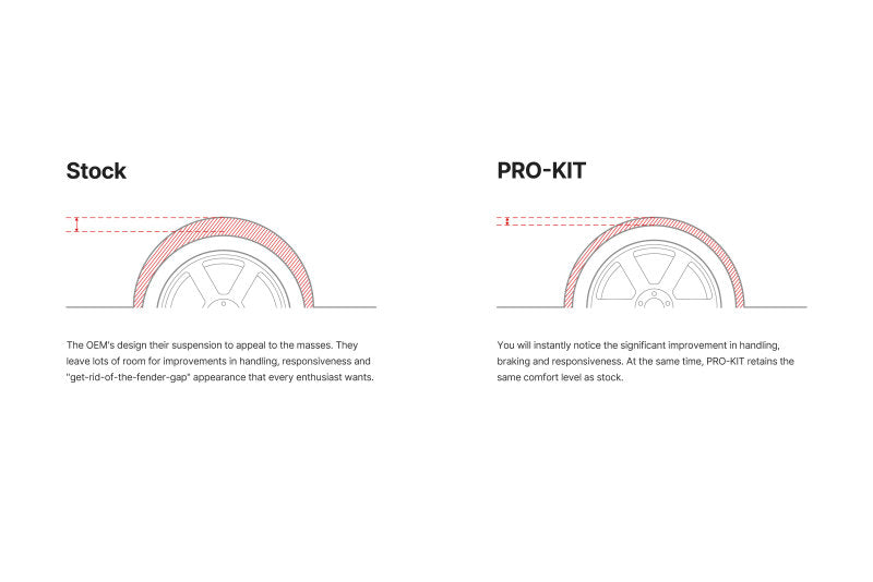 Eibach Pro-Kit for 11-12 Dodge Charger 2WD V6 / 2WD V8 (Will Not Effect Vehicle Height On Scat Pack)