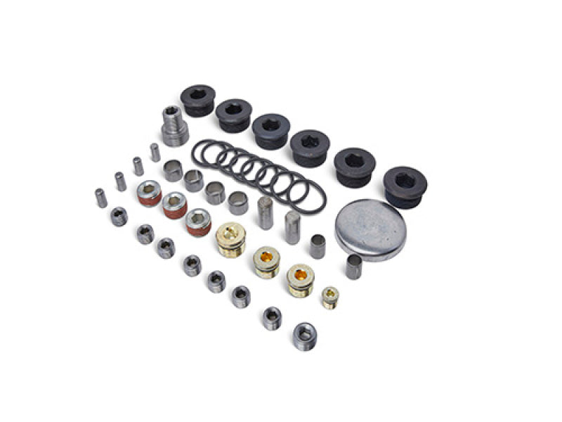 Ford Racing Block Plug and Dowel Kit (For Z Blocks) M-6026-ZBLOCK