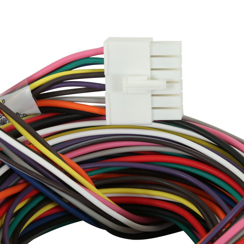 AEM Wiring Harness for V2 Controller w/ Multi Input