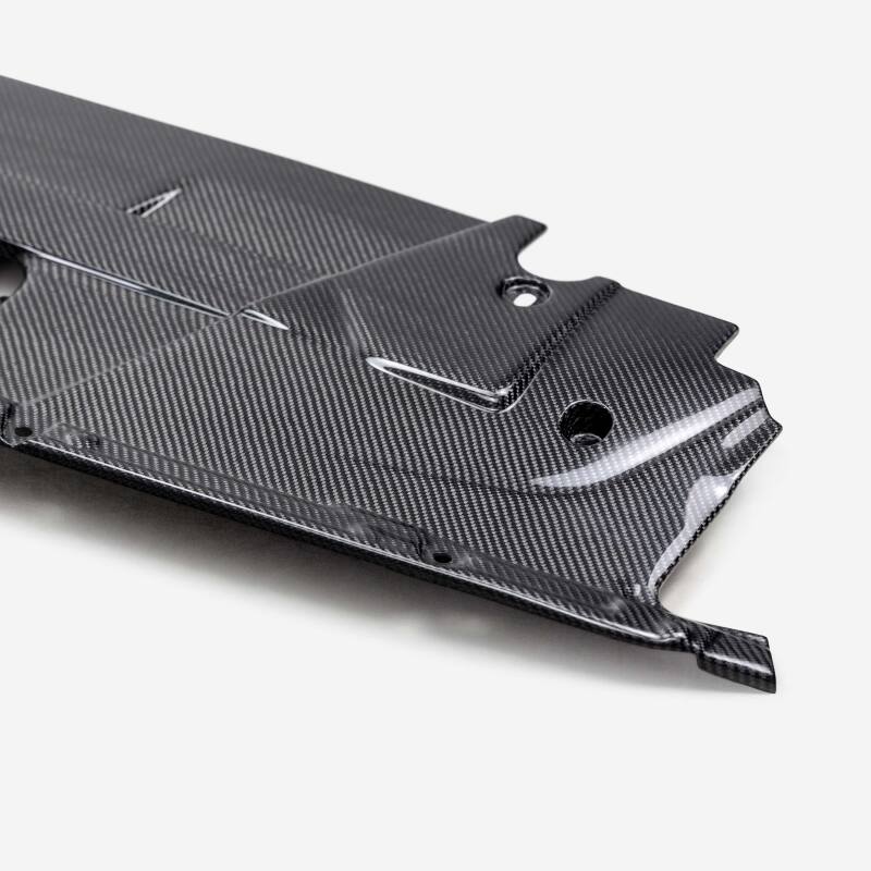 Anderson Composites 2024+ Ford Mustang Carbon Fiber Radiator Cover AC-CP24FDMU