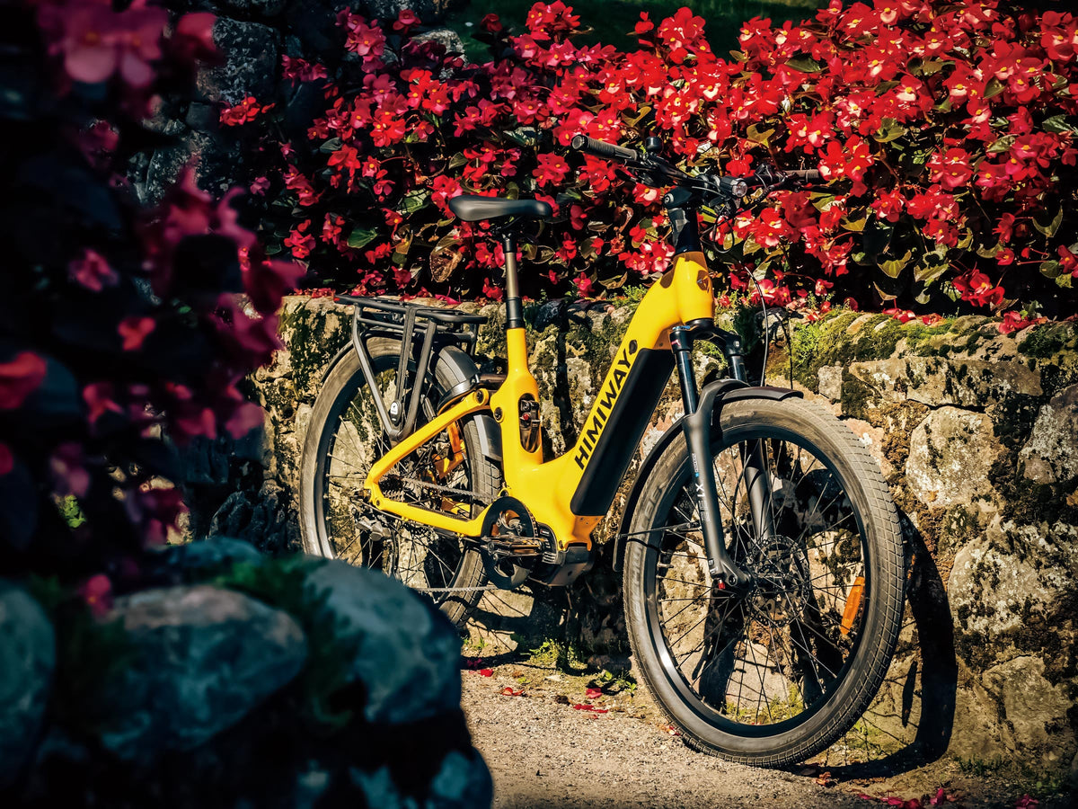 Himiway A7 Pro Commuter eBike