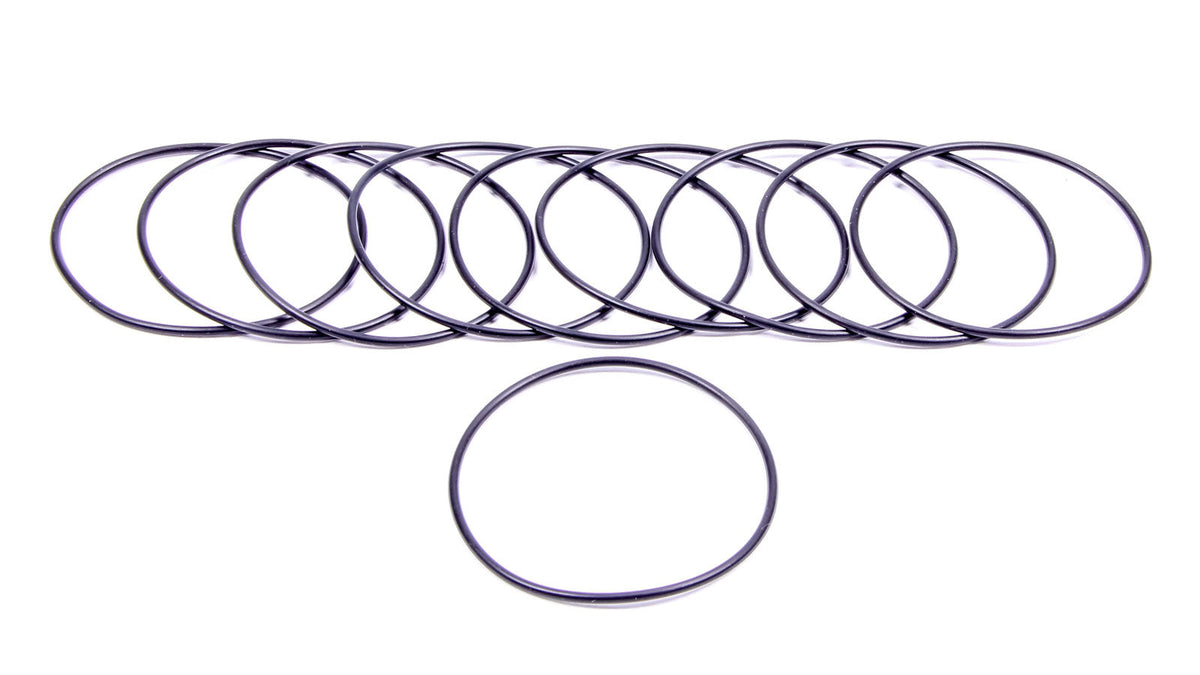 Filter O-Rings (10) - 12002