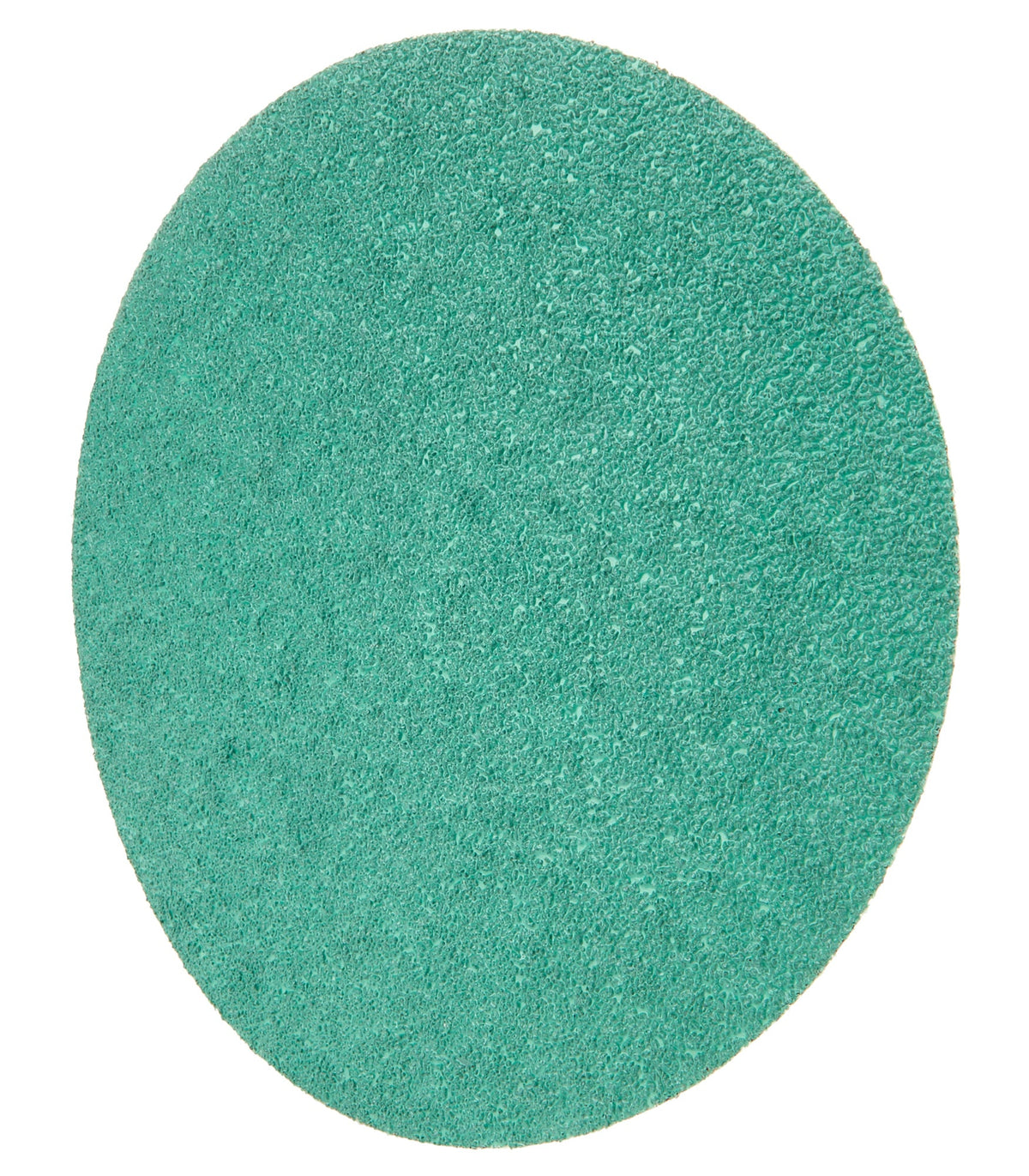 8 IN SANDING DISCS 36 GRIT