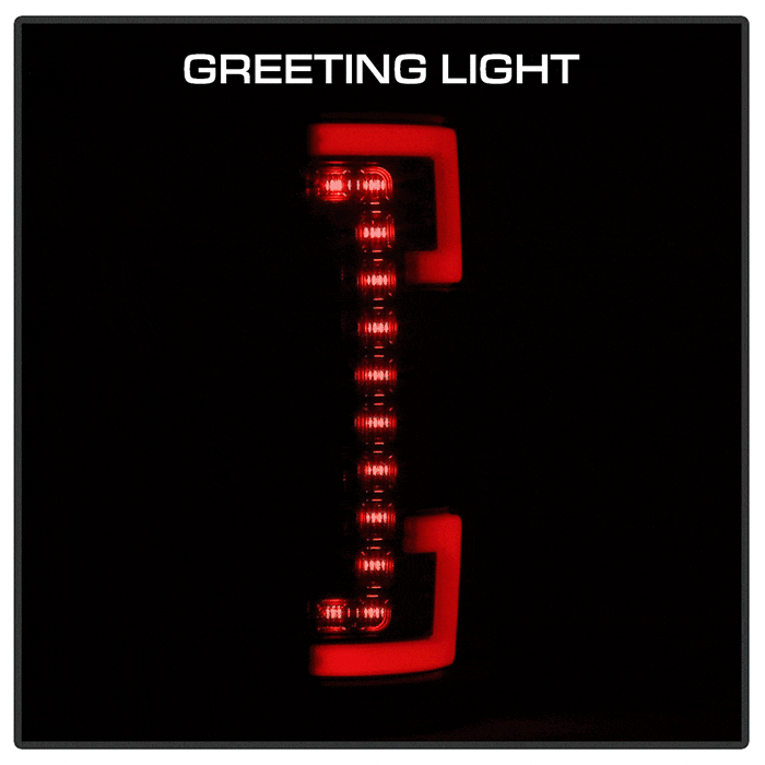 SPYDER 17-18 Ford F250 SD (Excl Halogen Model) LED Tail Lights - Black (ZALT-YD-FS17BS-GRLED-BK) 5089168