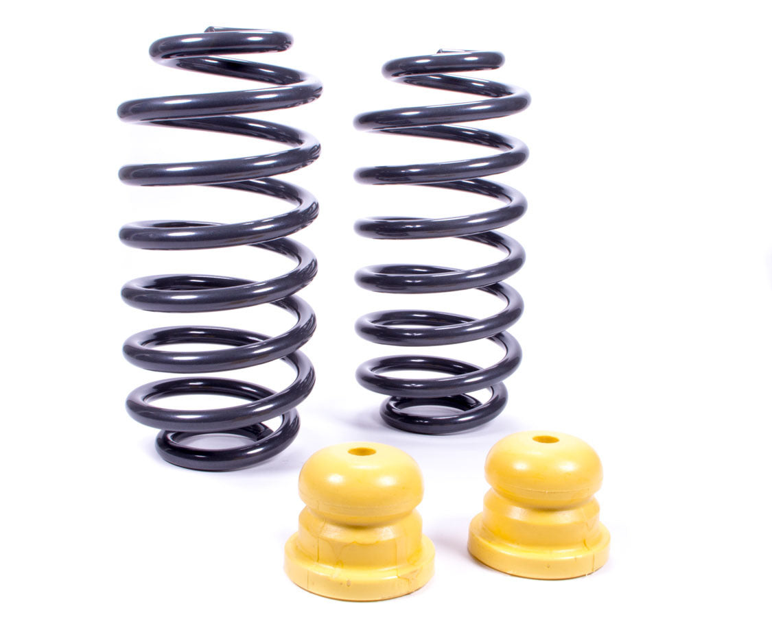 Rear Coil Springs - 4230