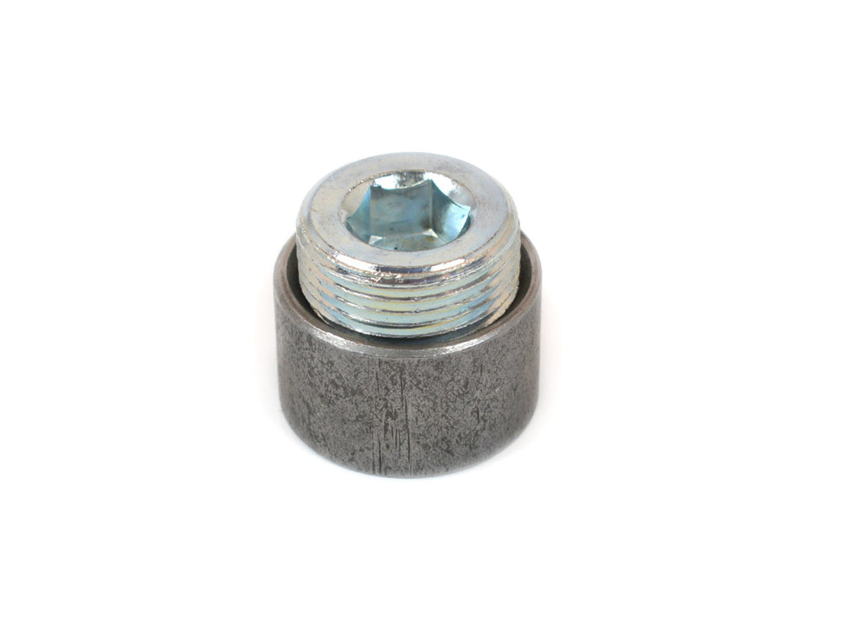 Inspection Plug - 20888
