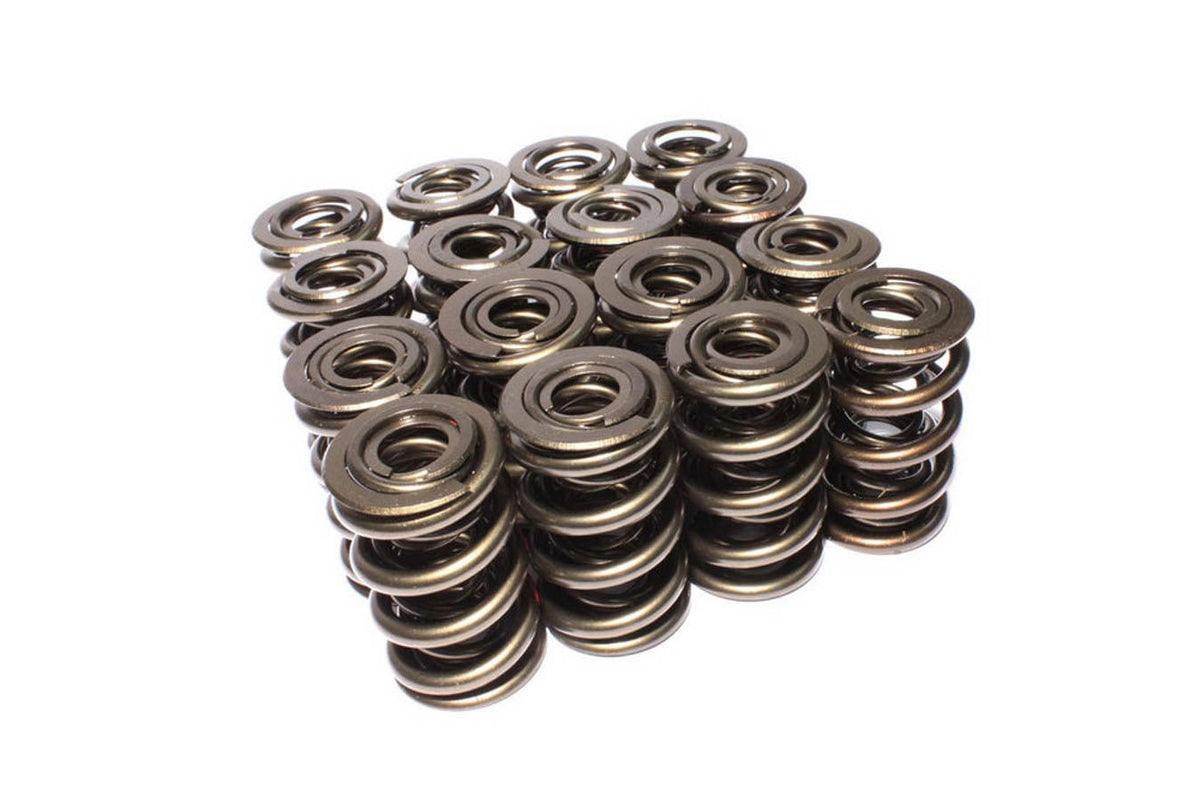 Valve Springs - 2602816