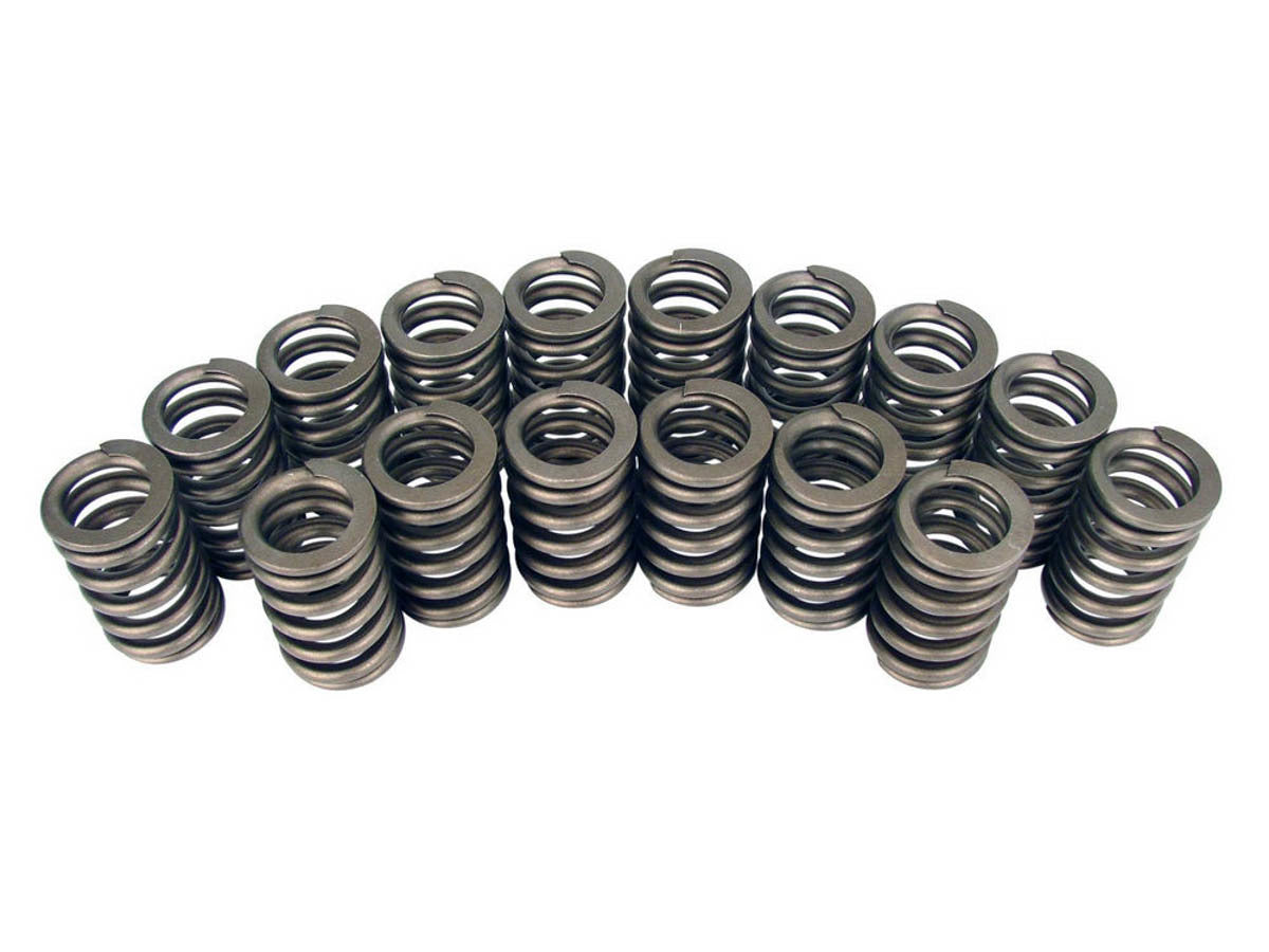 Valve Spring - 98316