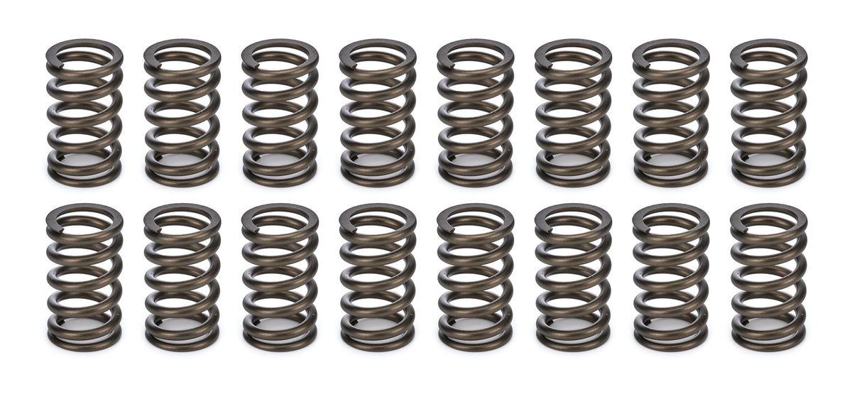 Valve Springs - 1.045 - 6819516