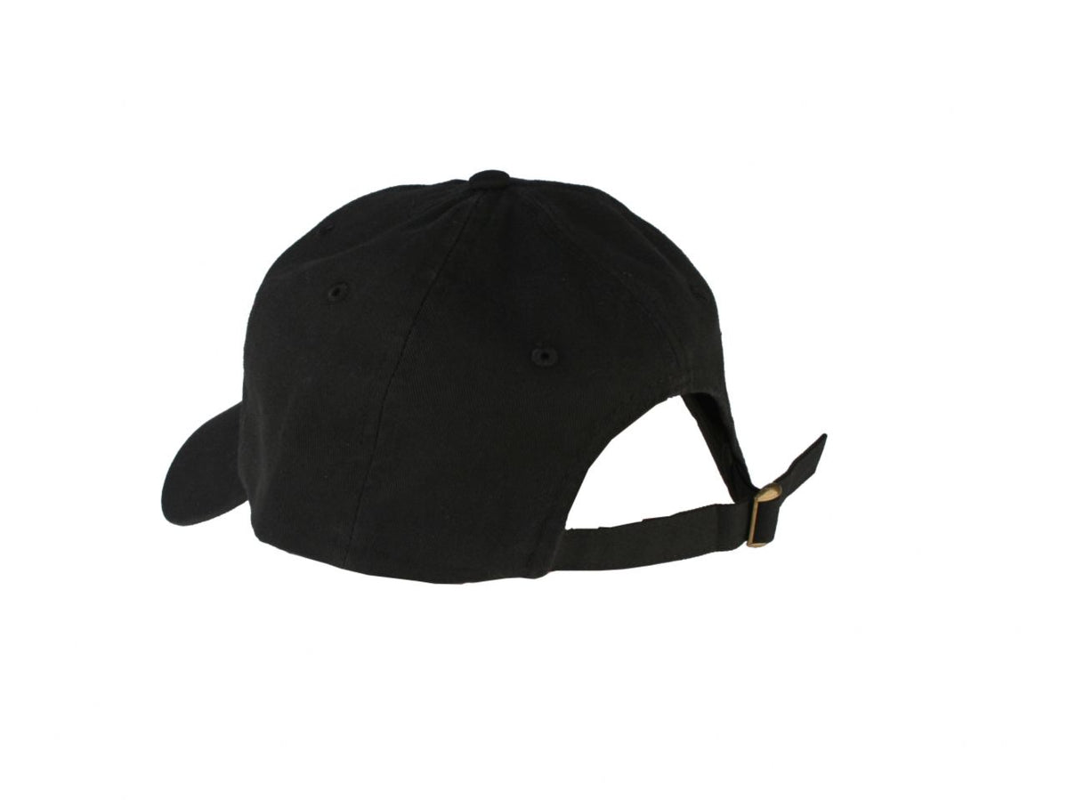 FR SPORT Aeromotive Hat with  Logo - View 2