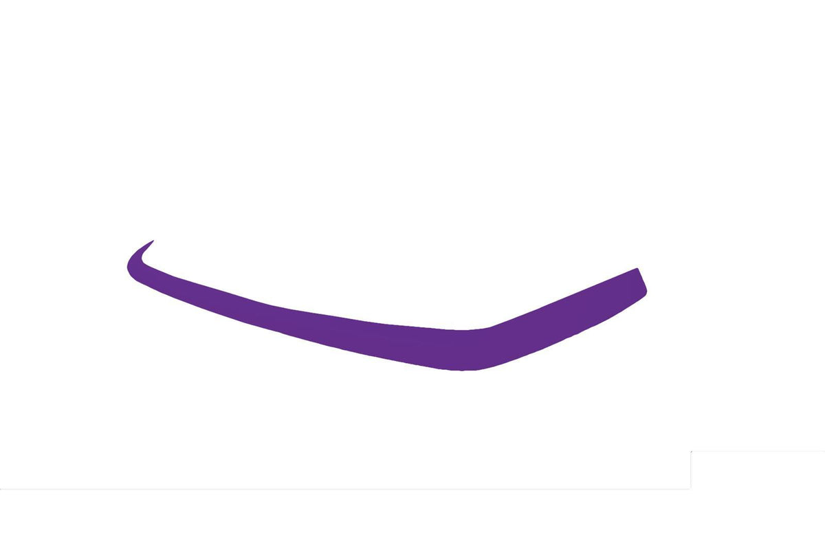 Dominator Late Model Valance Cover Purple - DOM2304PU