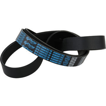 V-ribbed Belt - A080661SC