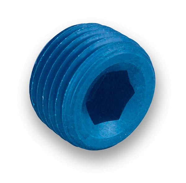 1/8in Pipe Plug - 593202ERL