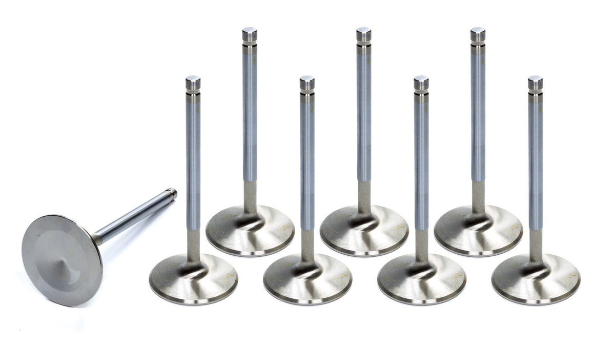 8 Intake Valves 2.19 - 9775