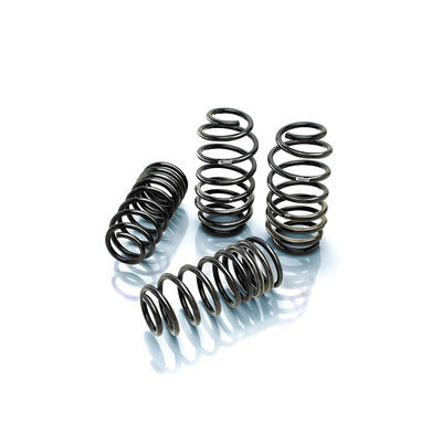 Pro-kit Perf Spgs - 3514140