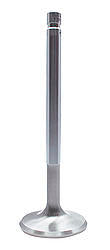 Ford 351W C/6 1.850in Intake Valves - F61228