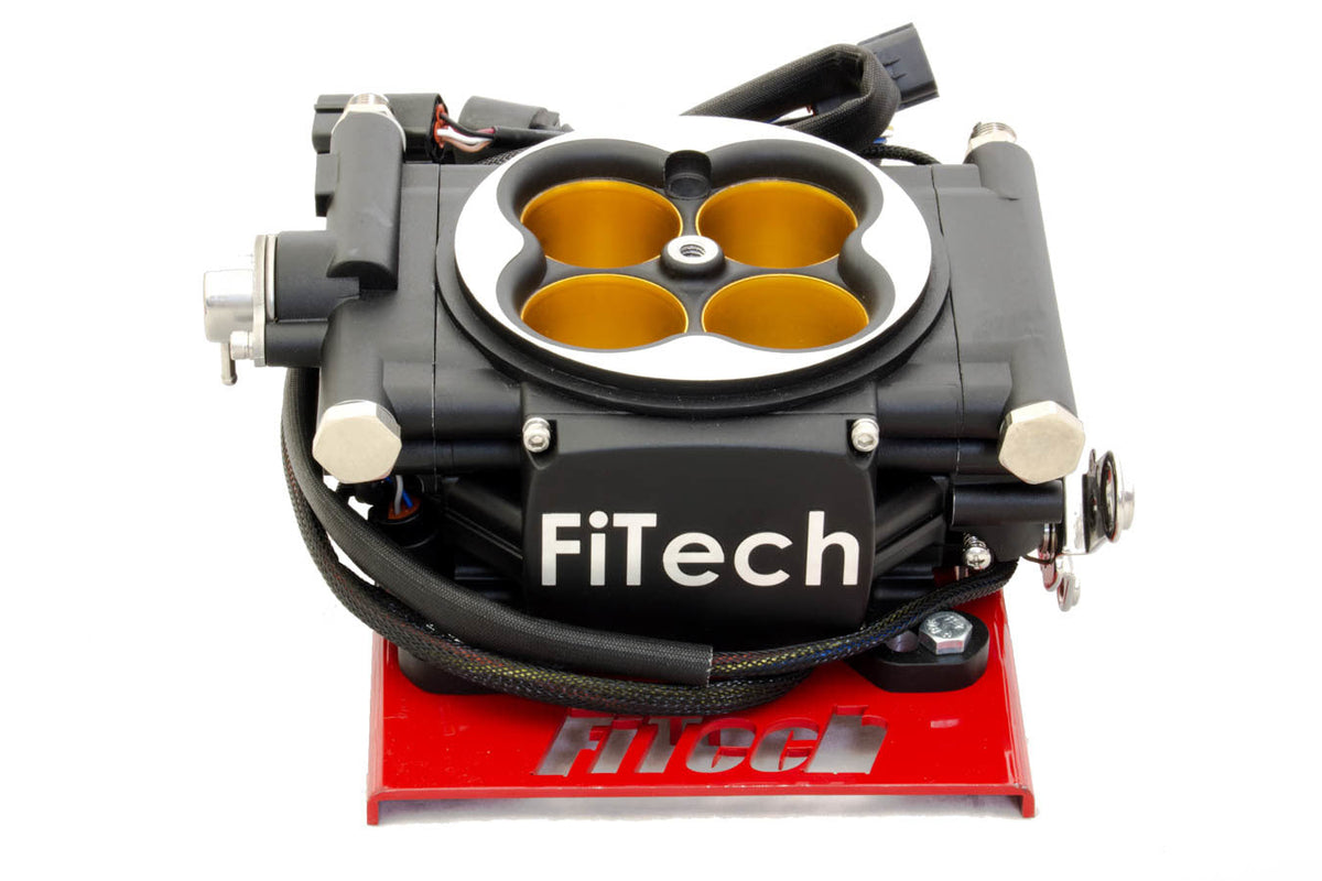 Electronic Fuel Injection - 30012