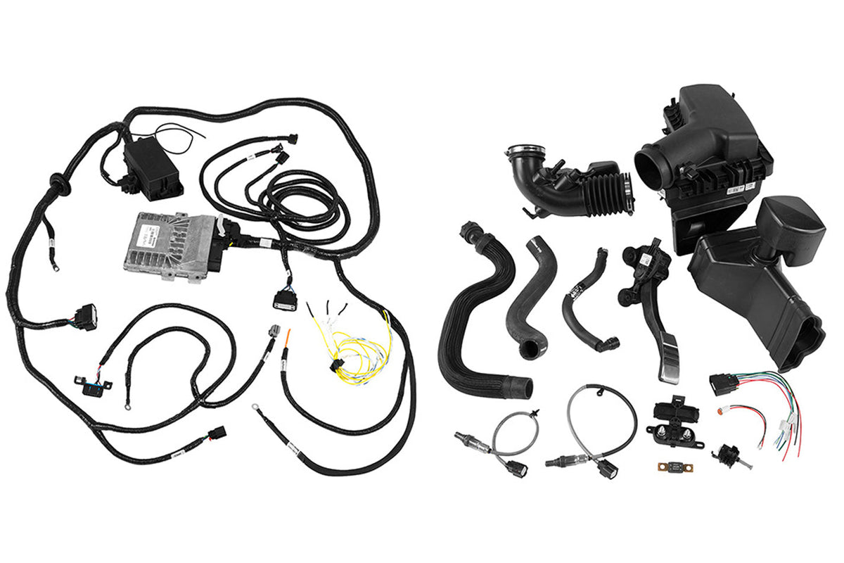 Harness Assembly - M6017M50A