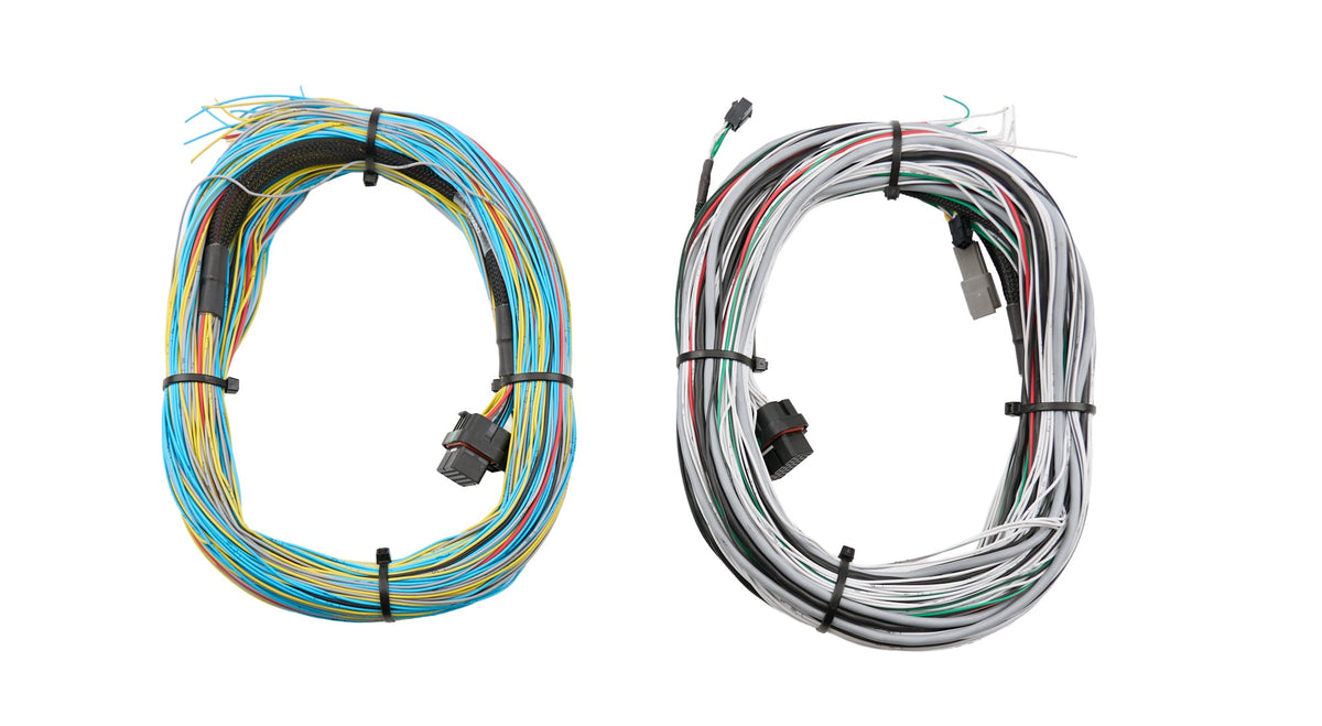 FT600/FT700 Harness 20ft - 2001004003