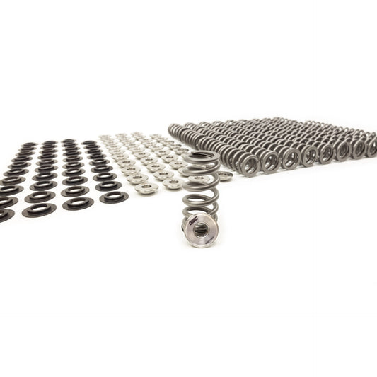 T1 Huracan/R8 GSC Beehive Spring Kit