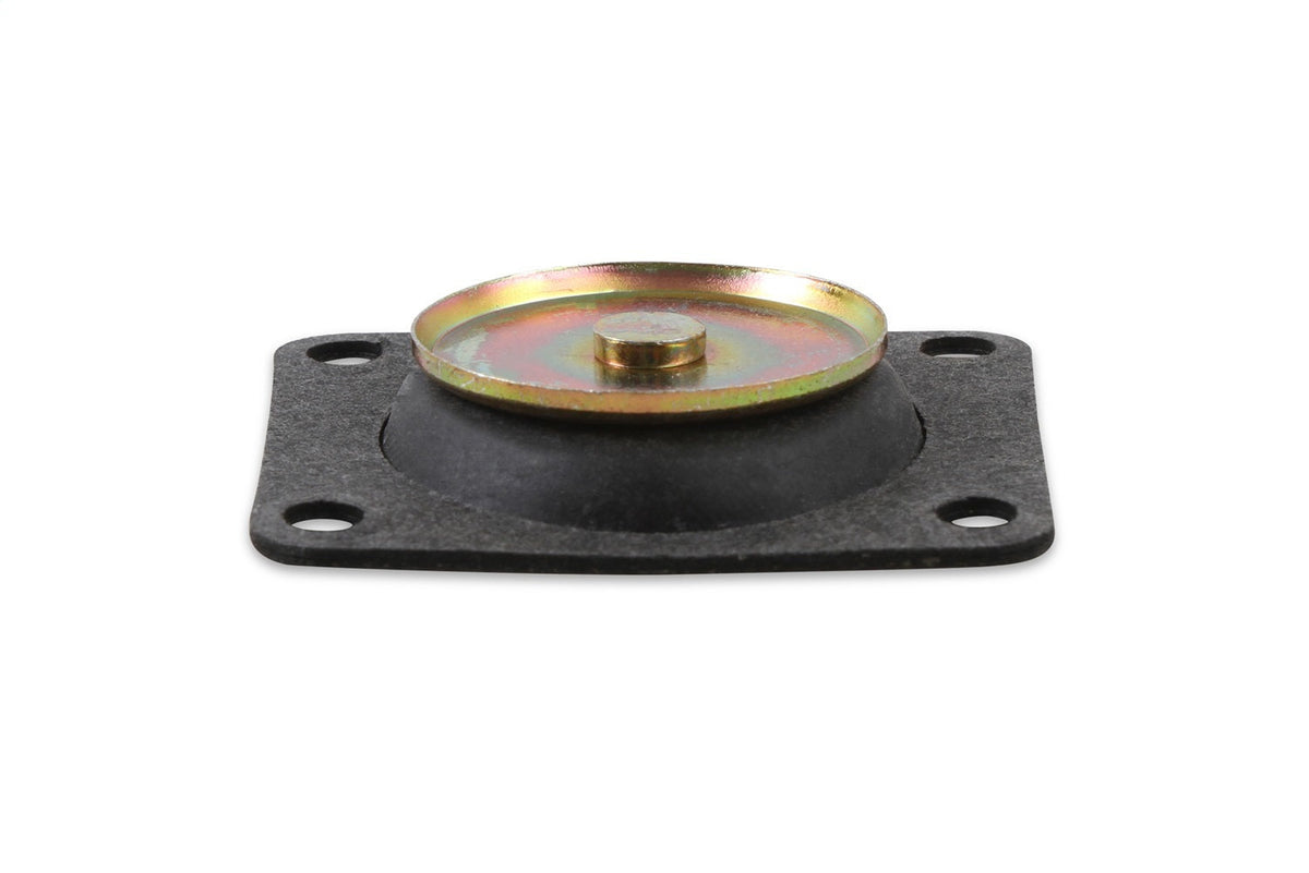 Acc. Pump Diaphragm 30cc Pump - 1355