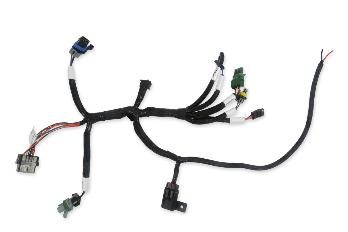 Holley EFI Benchtop Harness - 558127