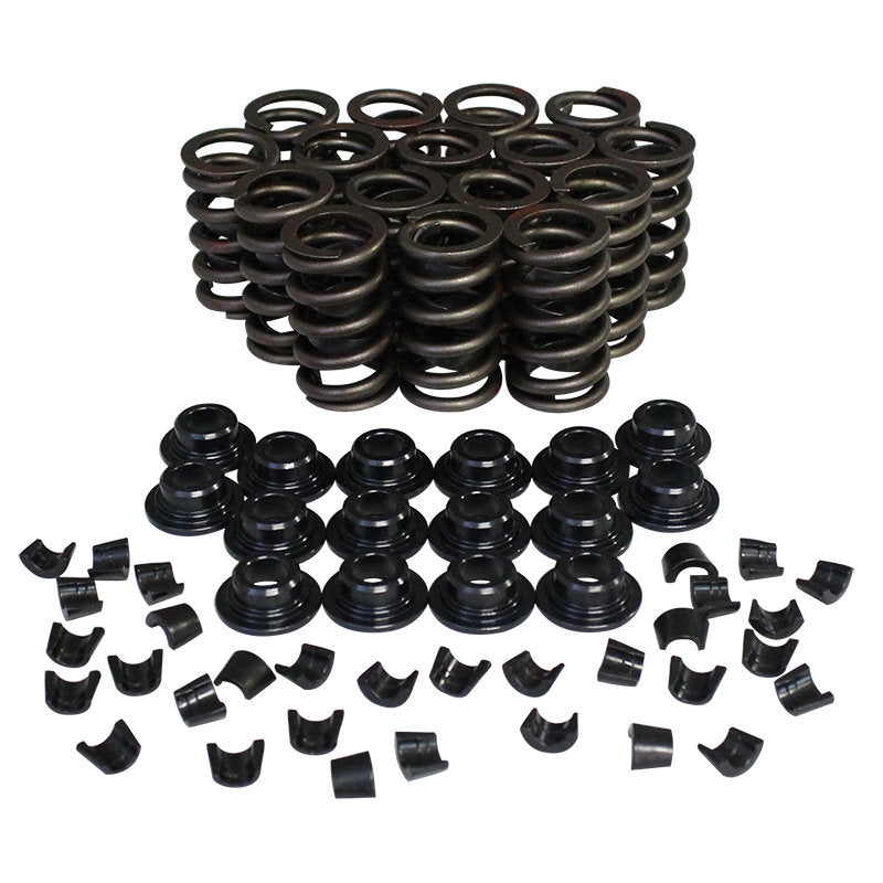 Valve Spring Kit - 98212K12