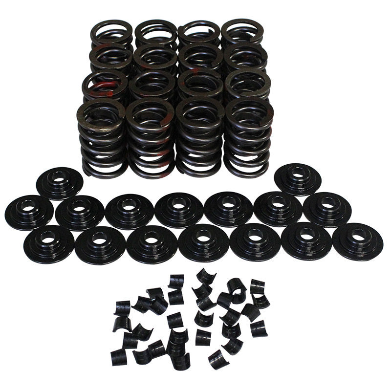 Valve Spring Kit/Single Damper - 98412K11