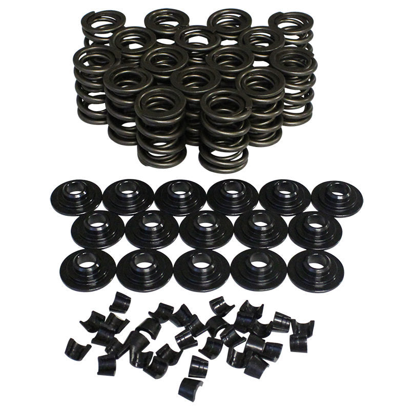 Valve Spring Kit Dual with Damp - 98445K12
