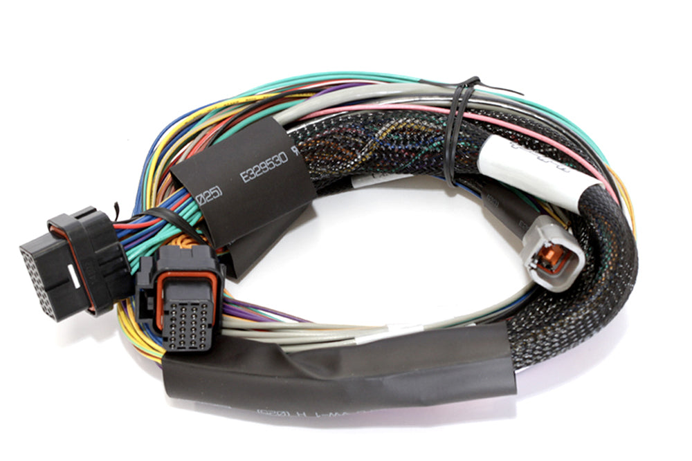 Elite 2500 Basic Univ. Wire Harness - HT141302