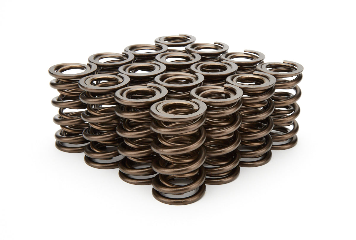 1.560 Valve Springs - 9935