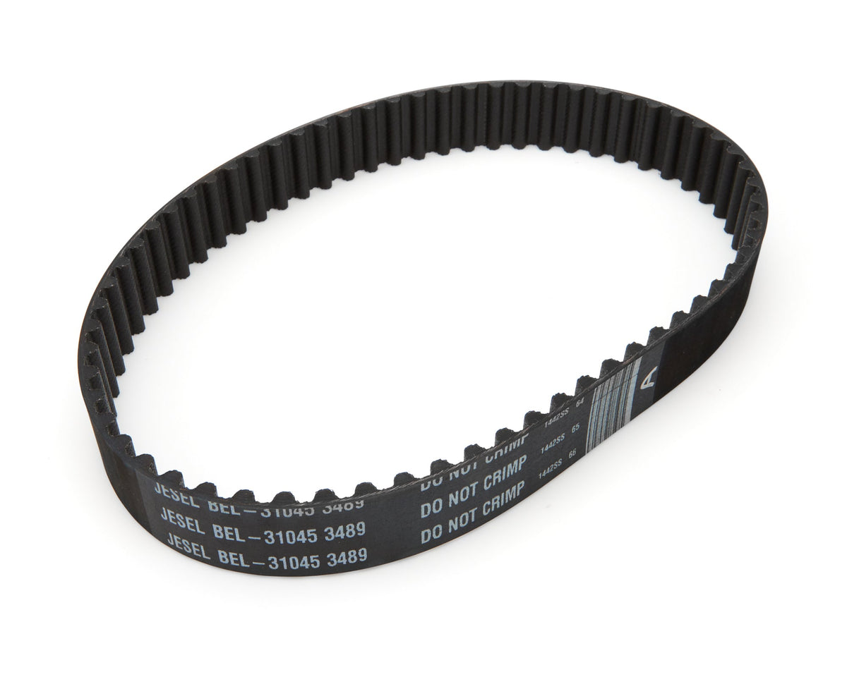 Belt - BEL31045