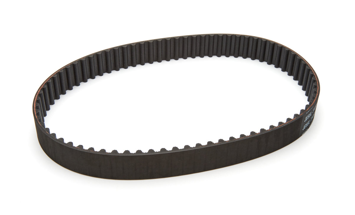 Belt - BEL31072