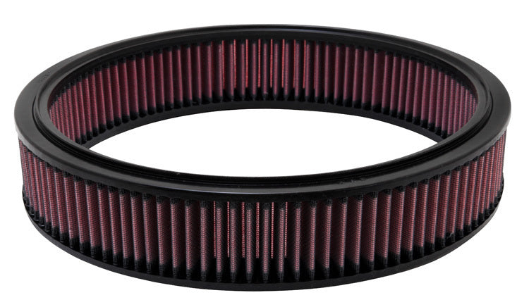 Air Filter - E1570