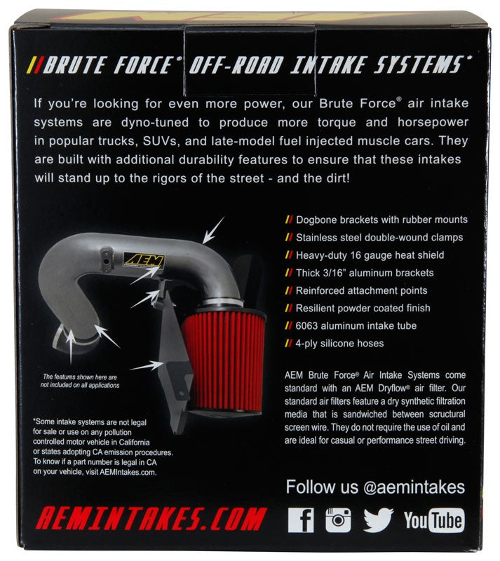 AEM Induction DryFlow Air Filter AIP21-202BF