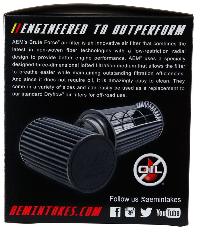 AEM Induction DryFlow Air Filter AIP21-202BF
